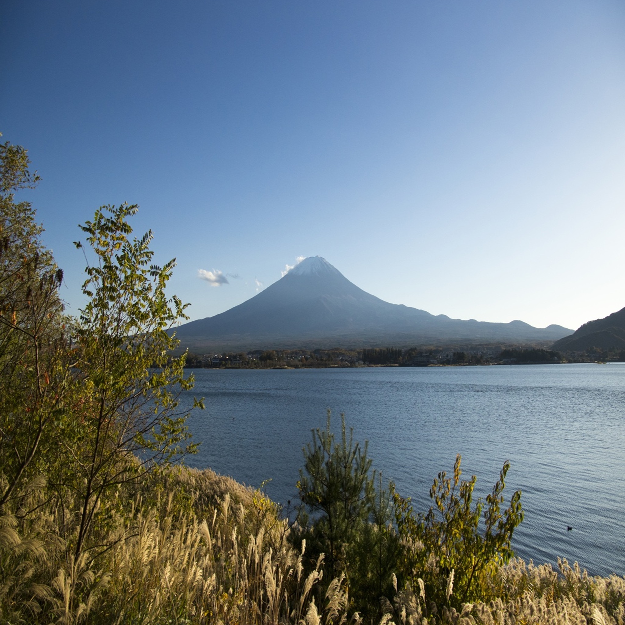 富士山